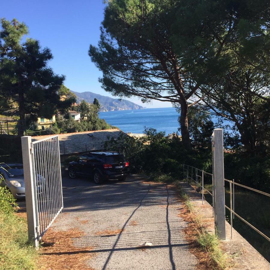 Il Nido Della Gazza Daire Monterosso al Mare Dış mekan fotoğraf